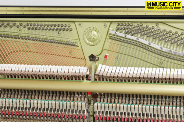 Music City – Tổng Kho Piano, Guitar, Organ | Dịch Vụ Giáo Dục Âm Nhạc
