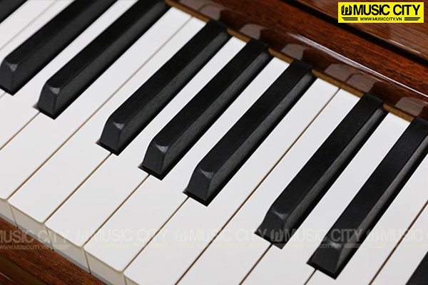 Đàn Piano Yamaha YUS5MhC SG - Ảnh 4