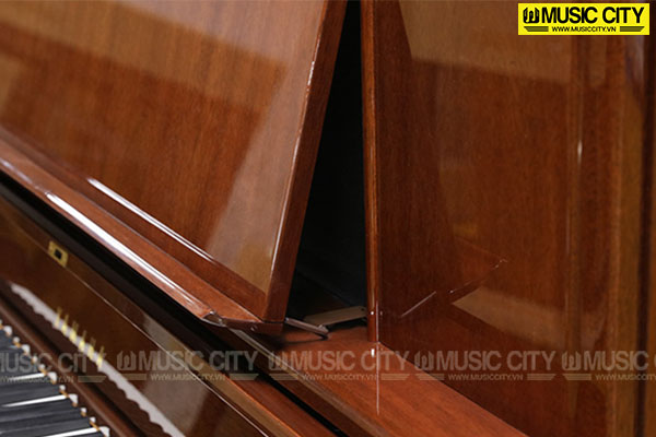 Music City – Tổng Kho Piano, Guitar, Organ | Dịch Vụ Giáo Dục Âm Nhạc