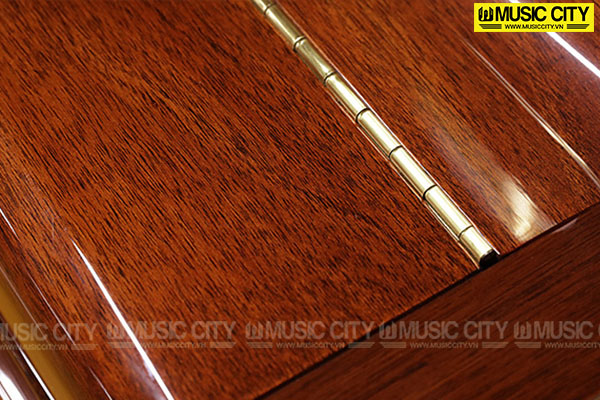 Music City – Tổng Kho Piano, Guitar, Organ | Dịch Vụ Giáo Dục Âm Nhạc