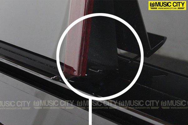 Music City – Tổng Kho Piano, Guitar, Organ | Dịch Vụ Giáo Dục Âm Nhạc