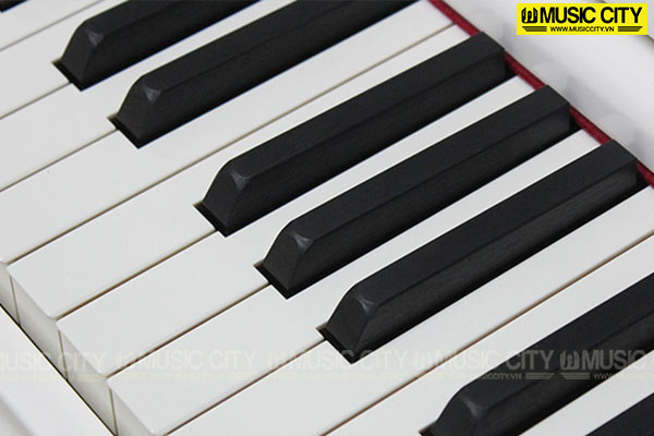 Music City – Tổng Kho Piano, Guitar, Organ | Dịch Vụ Giáo Dục Âm Nhạc