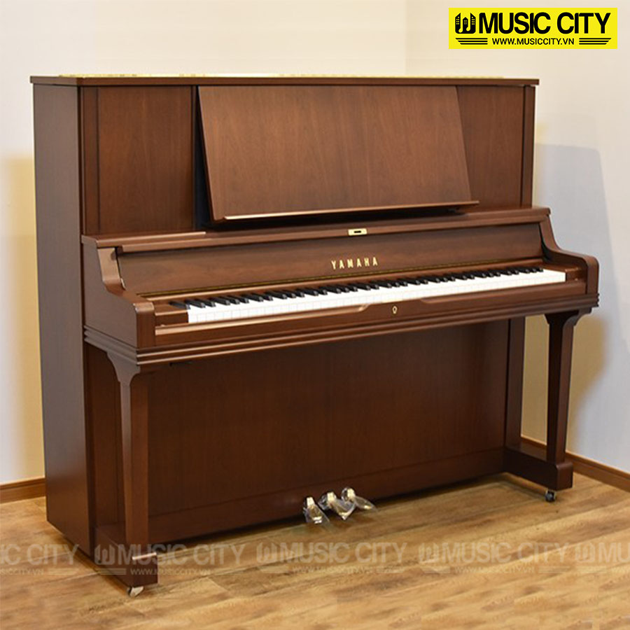 Music City – Tổng Kho Piano, Guitar, Organ | Dịch Vụ Giáo Dục Âm Nhạc