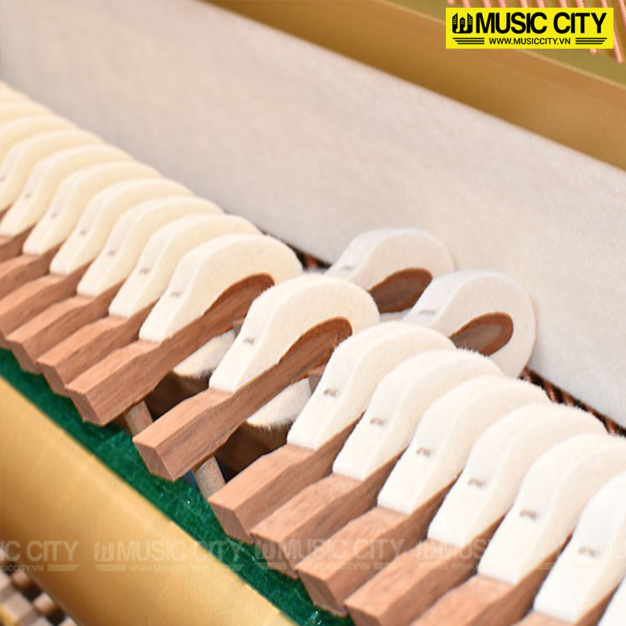 Music City – Tổng Kho Piano, Guitar, Organ | Dịch Vụ Giáo Dục Âm Nhạc