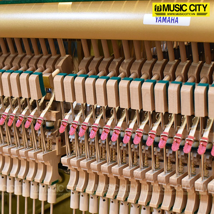 Music City – Tổng Kho Piano, Guitar, Organ | Dịch Vụ Giáo Dục Âm Nhạc