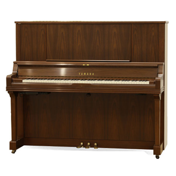Music City – Tổng Kho Piano, Guitar, Organ | Dịch Vụ Giáo Dục Âm Nhạc