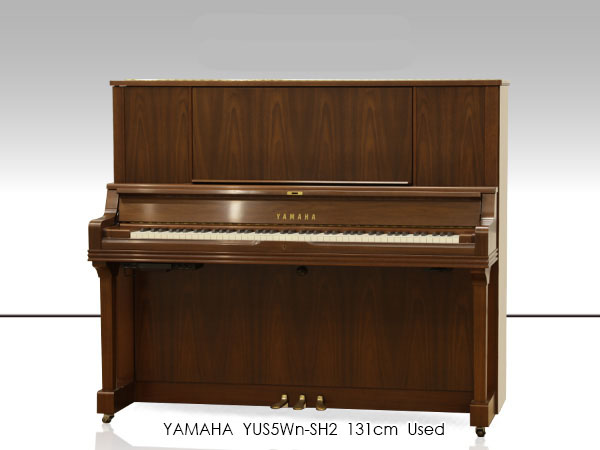 Music City – Tổng Kho Piano, Guitar, Organ | Dịch Vụ Giáo Dục Âm Nhạc