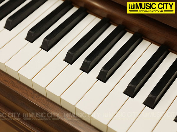 Music City – Tổng Kho Piano, Guitar, Organ | Dịch Vụ Giáo Dục Âm Nhạc