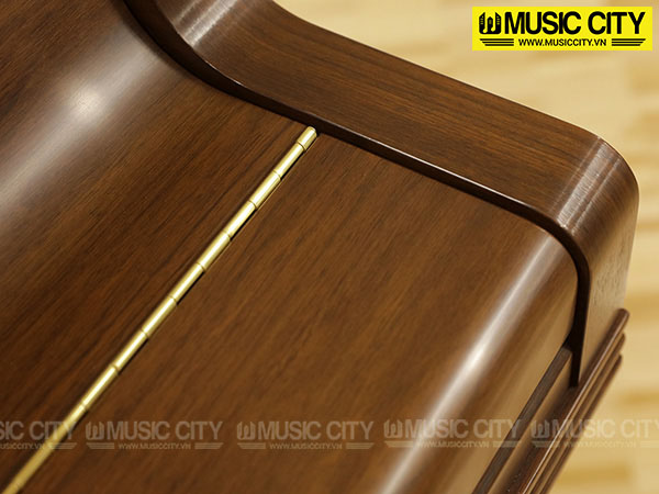 Music City – Tổng Kho Piano, Guitar, Organ | Dịch Vụ Giáo Dục Âm Nhạc