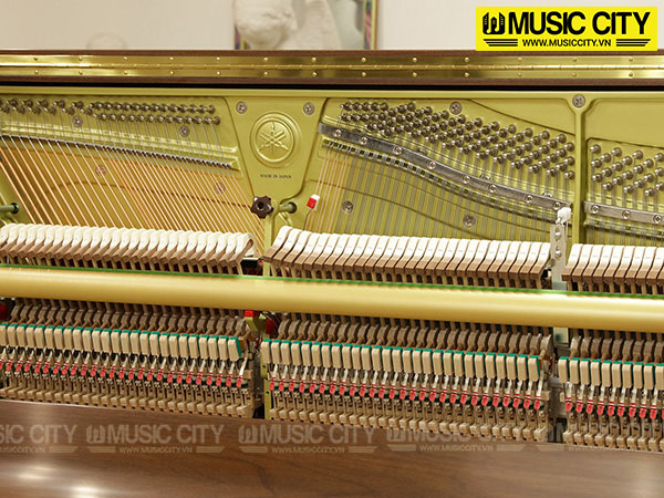Music City – Tổng Kho Piano, Guitar, Organ | Dịch Vụ Giáo Dục Âm Nhạc