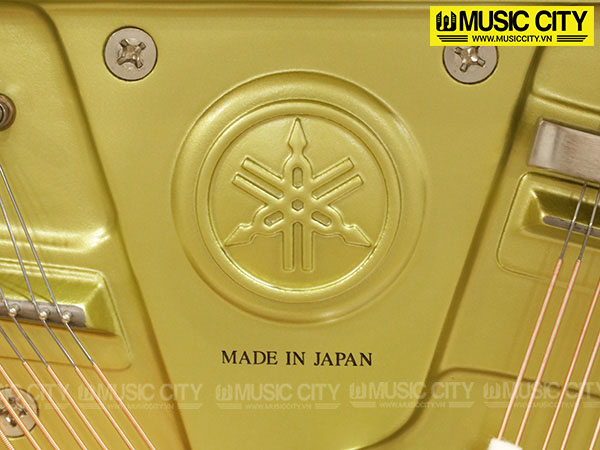 Music City – Tổng Kho Piano, Guitar, Organ | Dịch Vụ Giáo Dục Âm Nhạc