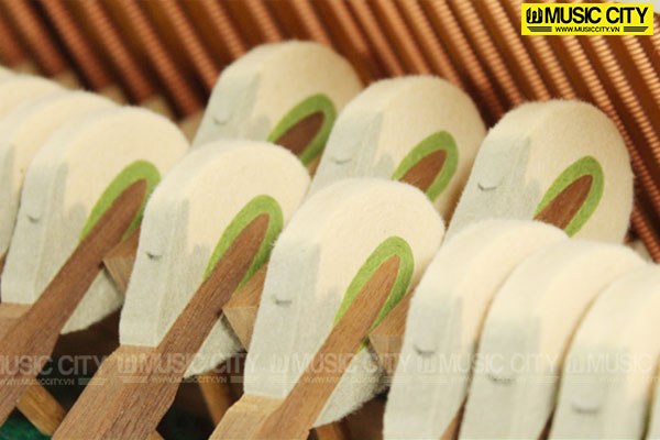 Music City – Tổng Kho Piano, Guitar, Organ | Dịch Vụ Giáo Dục Âm Nhạc