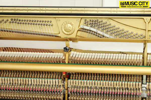 Music City – Tổng Kho Piano, Guitar, Organ | Dịch Vụ Giáo Dục Âm Nhạc