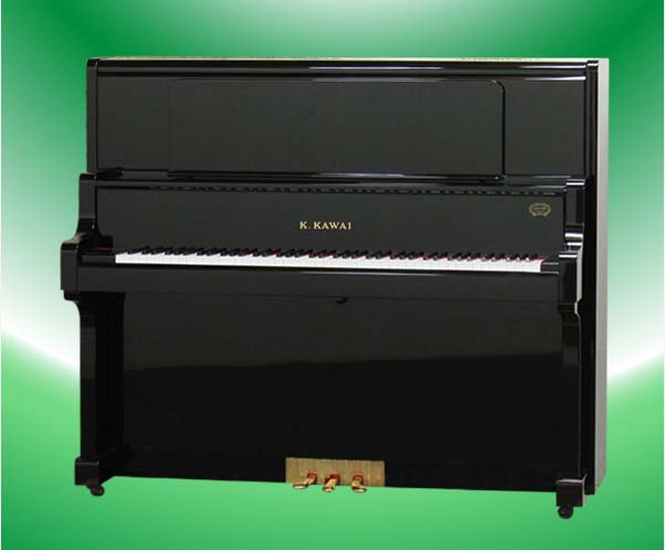 Music City – Tổng Kho Piano, Guitar, Organ | Dịch Vụ Giáo Dục Âm Nhạc