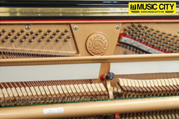 Music City – Tổng Kho Piano, Guitar, Organ | Dịch Vụ Giáo Dục Âm Nhạc