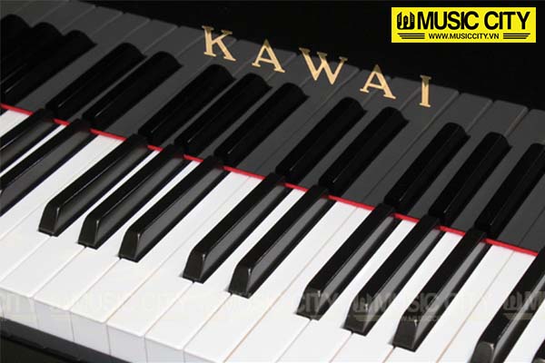 Music City – Tổng Kho Piano, Guitar, Organ | Dịch Vụ Giáo Dục Âm Nhạc