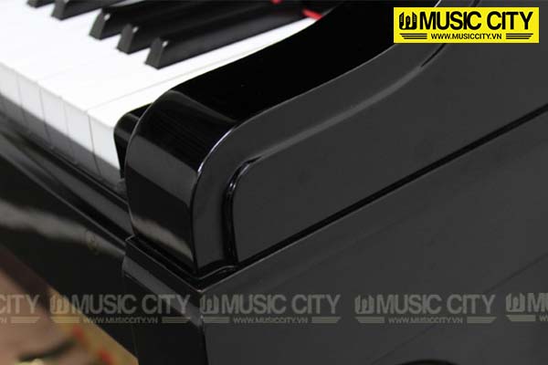 Music City – Tổng Kho Piano, Guitar, Organ | Dịch Vụ Giáo Dục Âm Nhạc