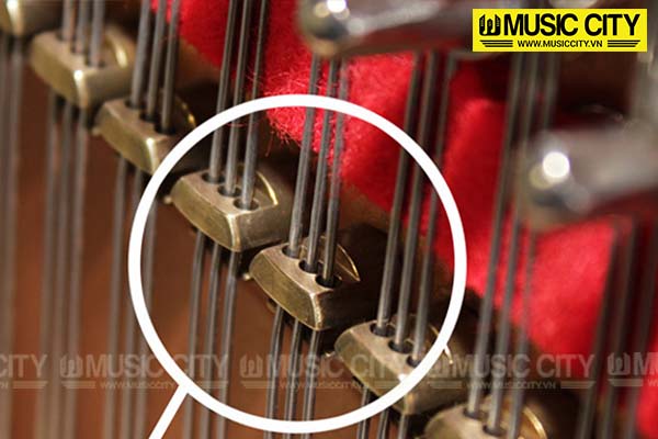 Music City – Tổng Kho Piano, Guitar, Organ | Dịch Vụ Giáo Dục Âm Nhạc