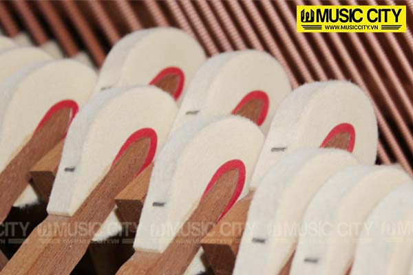 Music City – Tổng Kho Piano, Guitar, Organ | Dịch Vụ Giáo Dục Âm Nhạc