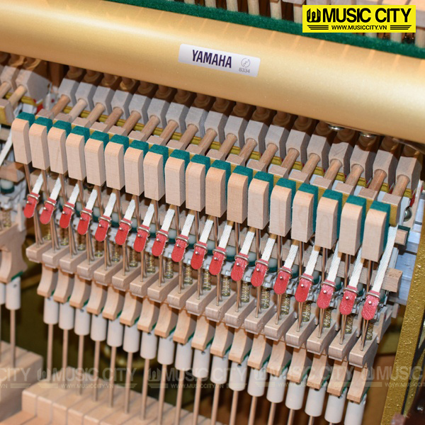 Music City – Tổng Kho Piano, Guitar, Organ | Dịch Vụ Giáo Dục Âm Nhạc