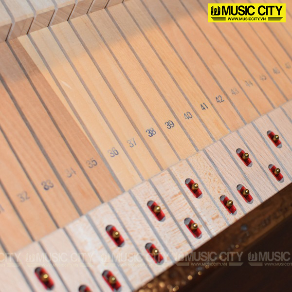 Music City – Tổng Kho Piano, Guitar, Organ | Dịch Vụ Giáo Dục Âm Nhạc