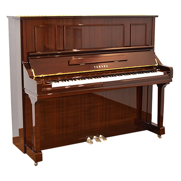Music City – Tổng Kho Piano, Guitar, Organ | Dịch Vụ Giáo Dục Âm Nhạc