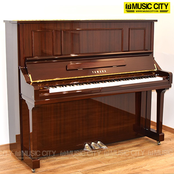 Music City – Tổng Kho Piano, Guitar, Organ | Dịch Vụ Giáo Dục Âm Nhạc