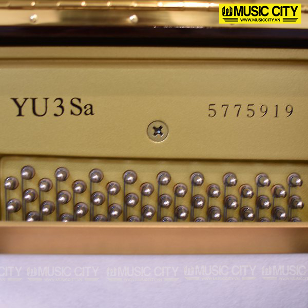 Music City – Tổng Kho Piano, Guitar, Organ | Dịch Vụ Giáo Dục Âm Nhạc