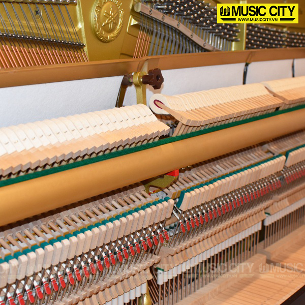 Music City – Tổng Kho Piano, Guitar, Organ | Dịch Vụ Giáo Dục Âm Nhạc