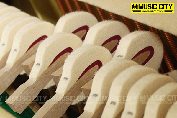 Music City – Tổng Kho Piano, Guitar, Organ | Dịch Vụ Giáo Dục Âm Nhạc