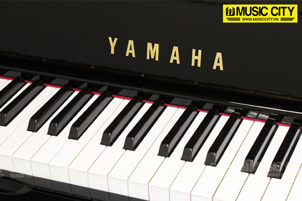 Music City – Tổng Kho Piano, Guitar, Organ | Dịch Vụ Giáo Dục Âm Nhạc