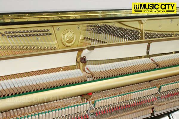 Music City – Tổng Kho Piano, Guitar, Organ | Dịch Vụ Giáo Dục Âm Nhạc