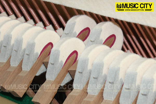 Music City – Tổng Kho Piano, Guitar, Organ | Dịch Vụ Giáo Dục Âm Nhạc