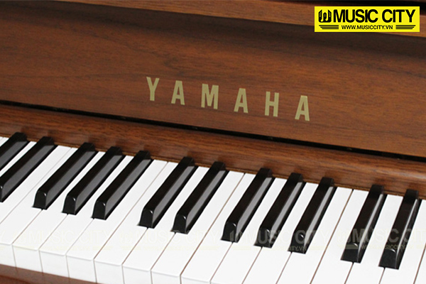 Music City – Tổng Kho Piano, Guitar, Organ | Dịch Vụ Giáo Dục Âm Nhạc