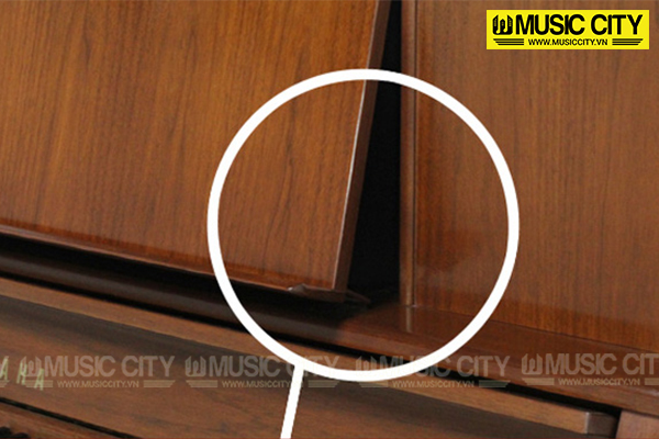 Music City – Tổng Kho Piano, Guitar, Organ | Dịch Vụ Giáo Dục Âm Nhạc