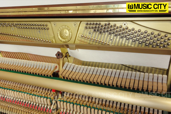 Music City – Tổng Kho Piano, Guitar, Organ | Dịch Vụ Giáo Dục Âm Nhạc