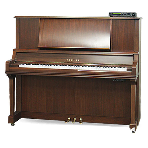 Music City – Tổng Kho Piano, Guitar, Organ | Dịch Vụ Giáo Dục Âm Nhạc