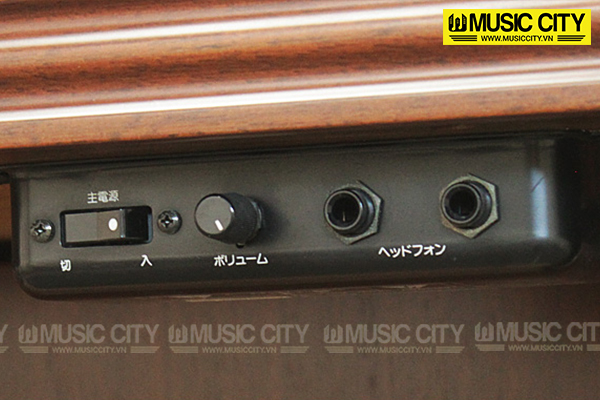 Music City – Tổng Kho Piano, Guitar, Organ | Dịch Vụ Giáo Dục Âm Nhạc