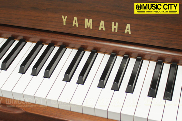 Music City – Tổng Kho Piano, Guitar, Organ | Dịch Vụ Giáo Dục Âm Nhạc