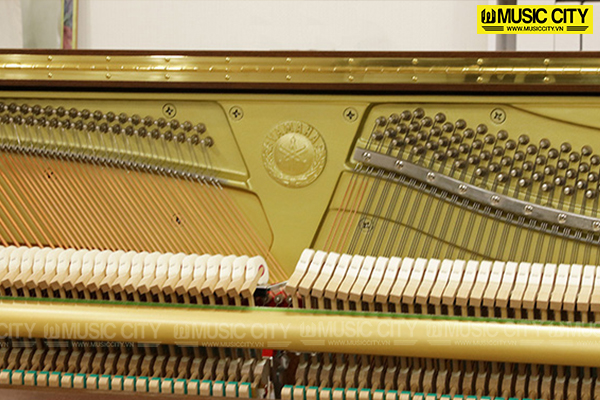 Music City – Tổng Kho Piano, Guitar, Organ | Dịch Vụ Giáo Dục Âm Nhạc