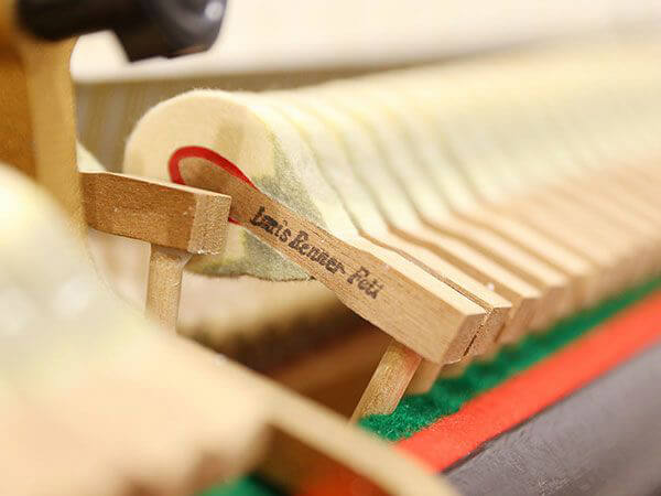 Music City – Tổng Kho Piano, Guitar, Organ | Dịch Vụ Giáo Dục Âm Nhạc