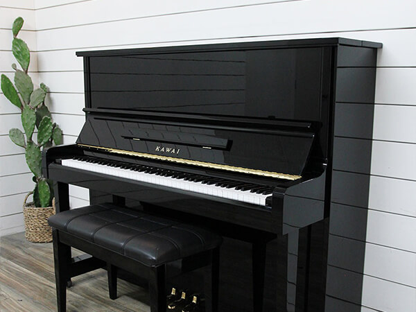 Music City – Tổng Kho Piano, Guitar, Organ | Dịch Vụ Giáo Dục Âm Nhạc