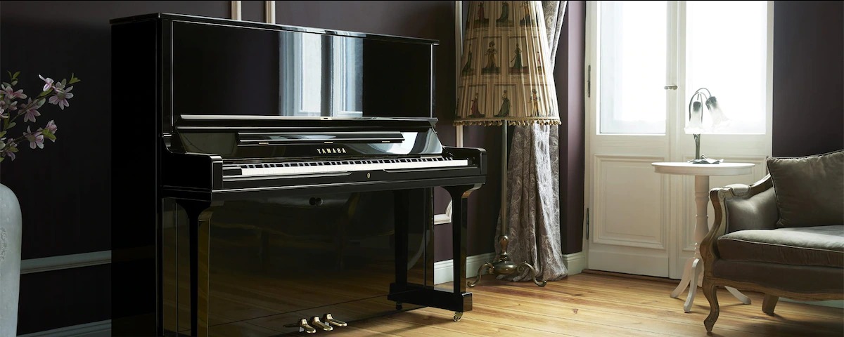 Music City – Tổng Kho Piano, Guitar, Organ | Dịch Vụ Giáo Dục Âm Nhạc