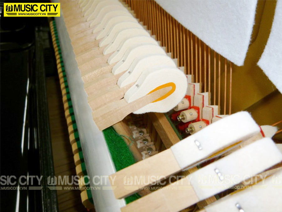 Music City – Tổng Kho Piano, Guitar, Organ | Dịch Vụ Giáo Dục Âm Nhạc