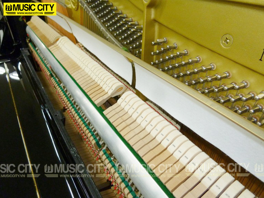Music City – Tổng Kho Piano, Guitar, Organ | Dịch Vụ Giáo Dục Âm Nhạc