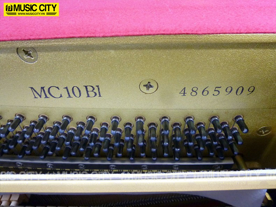Music City – Tổng Kho Piano, Guitar, Organ | Dịch Vụ Giáo Dục Âm Nhạc