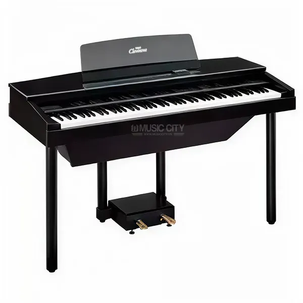 Music City – Tổng Kho Piano, Guitar, Organ | Dịch Vụ Giáo Dục Âm Nhạc