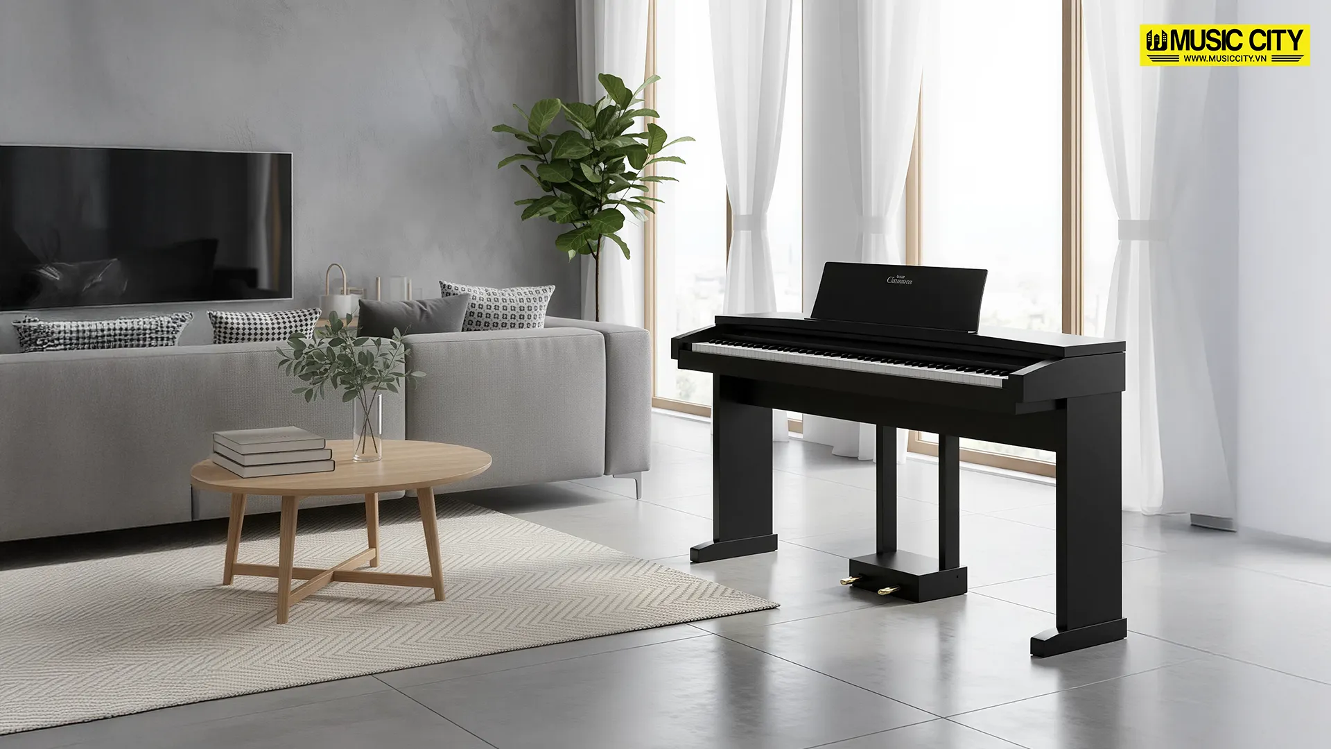 Music City – Tổng Kho Piano, Guitar, Organ | Dịch Vụ Giáo Dục Âm Nhạc