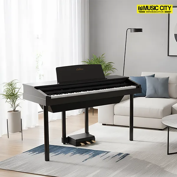 Music City – Tổng Kho Piano, Guitar, Organ | Dịch Vụ Giáo Dục Âm Nhạc