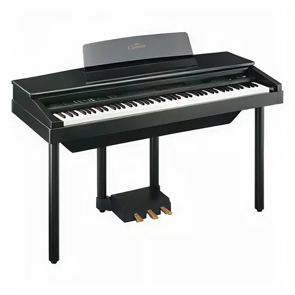 Music City – Tổng Kho Piano, Guitar, Organ | Dịch Vụ Giáo Dục Âm Nhạc